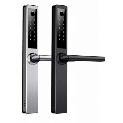 REX ( BLACK/SILVER )